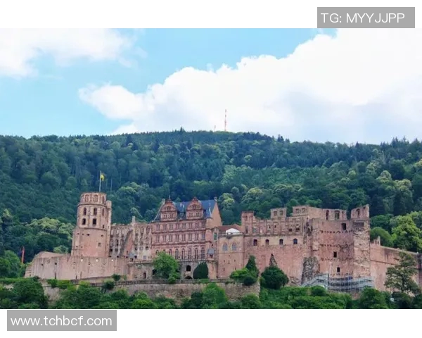 海德堡奇迹逆袭德甲杯,形势扑朔迷离令人猜测 海德堡奇迹逆袭德甲杯,形势扑朔迷离令人猜测